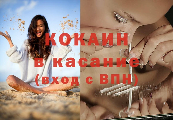 спиды Бородино