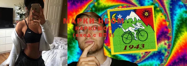 спиды Бородино