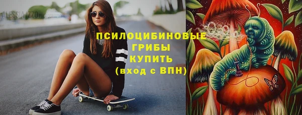 спиды Бородино