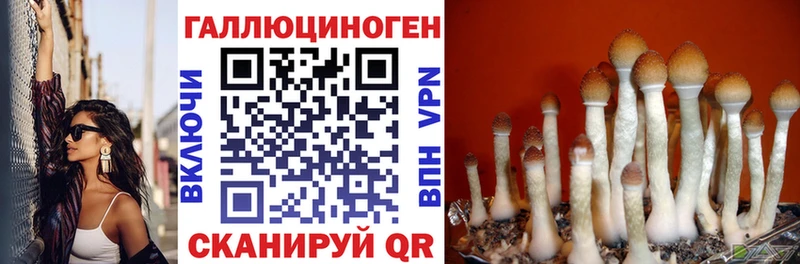 Псилоцибиновые грибы мухоморы  даркнет сайт  Гай 